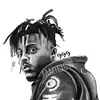 cassidyfrank351 - @cassidyfrank351 - TikTok