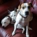 Frank Cassidy - Facebook