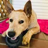 Frankie-Cassidy24 - @frankiesupple - TikTok