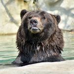 Frank Cataldi - @frankcataldi_photography - Instagram