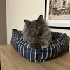 frankie - @notfrankcataniasr - TikTok