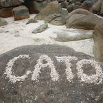 Frank Cato - @frank_cato - Instagram