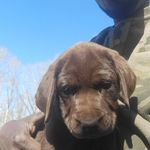 Frank Cauthen III - @iiifrankcauthen - Instagram
