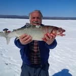Frank Cava - @frankcava - Instagram