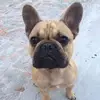 frankchamberlain6 - @frankchamberlain6 - TikTok