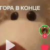 💜FRANK💜 - @frank4cheek - TikTok