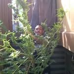 Frankcheeko Alconcel - @frankcheeko - Instagram