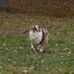 Frank Chenoweth - Facebook