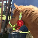 Shannon - @frankie_chestnut_lucy_bay - Instagram