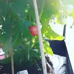 Frank Christensen - @frank666110 - Instagram