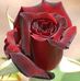 Franc Graabaek - Facebook