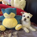 Frank Chuang - @frank16899 - Instagram
