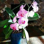 Frank Chuang - @chuang.frank - Instagram