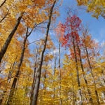Frank Chuang - @frank.chuang0809 - Instagram