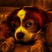 Frank Chudzinski - Facebook