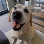 frank aka clancy - @frankgoes2school - Instagram