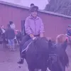 Frankie🐴🐎 - @frankie.clancy23 - TikTok