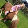 frankie 🐴 - @frankieclancy - TikTok