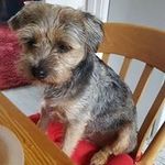 Frank Clarkson - @clarksonfrank - Instagram