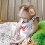 Frank Dube Clarkson - Facebook