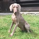 Frank Clever - @clever1506 - Instagram