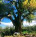 Franklin Cline - Facebook