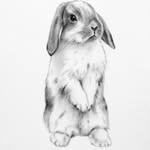 Frank & Coco - @frank_and_coco - Instagram