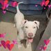 Frank Coco - Facebook
