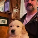 Frank cody - @frankcody479 - Instagram