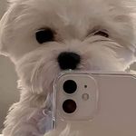 Frank Lee cody - @wwwjkm3365 - Instagram