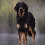 Frank Coenen - @frank.coenen.735 - Instagram