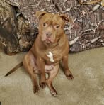 Frank Comp Jr. - Facebook