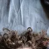 frankconley69 - @gabeiscconley - TikTok