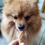 Frank Converse - @houkitakosa3 - Instagram