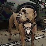 Frank Copa - @frank.copa - Instagram
