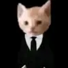 FRANK - @frankcopa7 - TikTok