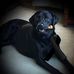 Frank Cornwell - Facebook