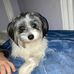Frank Corrigan - Facebook