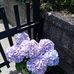 Frank Corrigan - Facebook