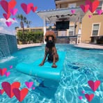 Frank Couch - Facebook