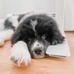 FRANK CRAIG - @frank_newfie - Instagram