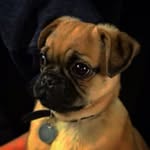 Charlie Croft - @frank_croft - Instagram