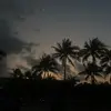 crosbyfranke - @crosbyfranke - TikTok