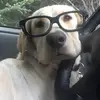 Frank Crouch - @r.frank47 - TikTok