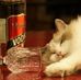Frank Dai - Facebook