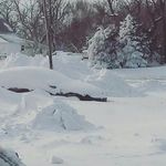 Frank Daire - @frankdaire774 - Instagram