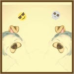 Frank_danks - @frank_danks - Instagram