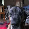 frankdankschat - @frankdankschat - TikTok