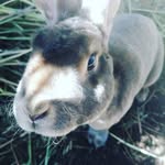 Frank_Danner - @_frank_danner_ - Instagram