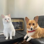 Frank and Darby - @frankanddarby - Instagram